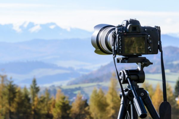 Intro To Digital SLR Photography
